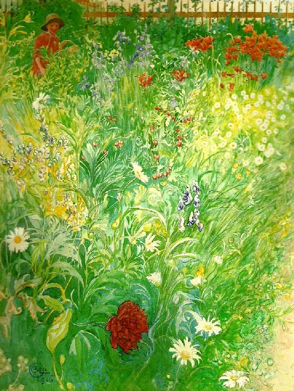 Carl Larsson blommor-sommarblommor France oil painting art
